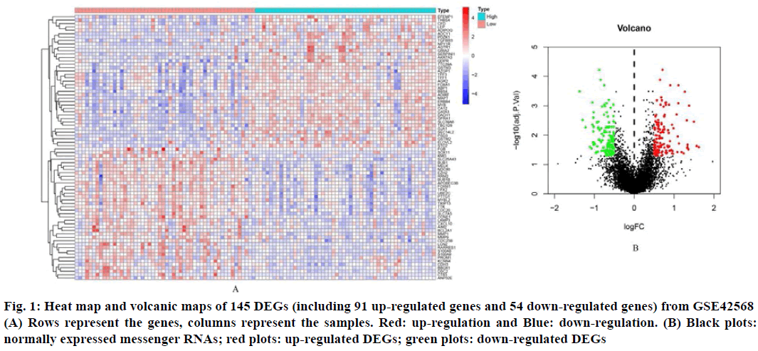 IJPS-regulation