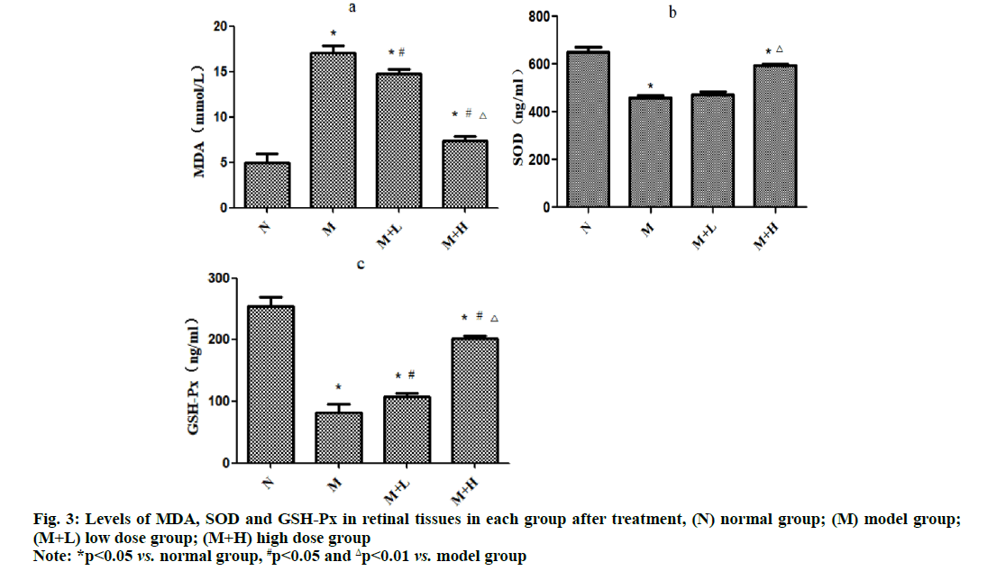 IJPS-retinal