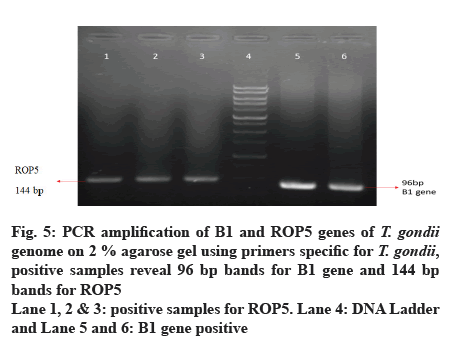 IJPS-samples