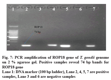 IJPS-samples