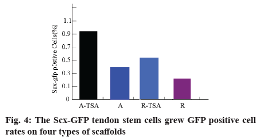 IJPS-scaffolds