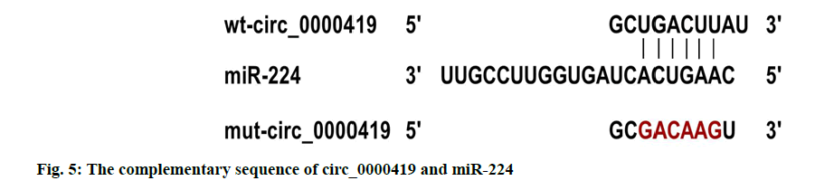 IJPS-sequence