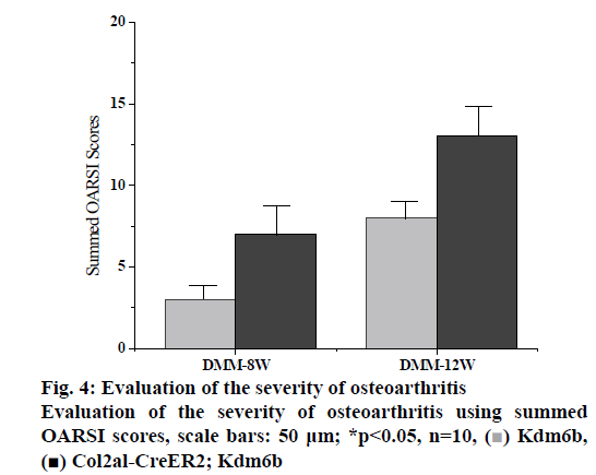 IJPS-severity