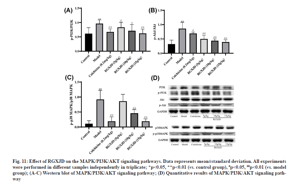 IJPS-signaling