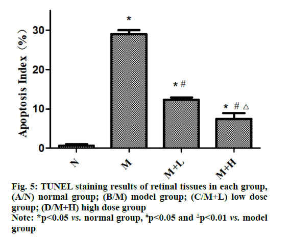 IJPS-staining