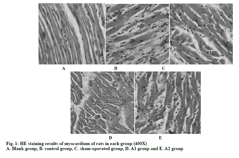 IJPS-staining