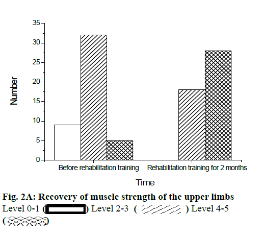 IJPS-strength