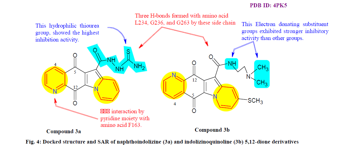 IJPS-structure