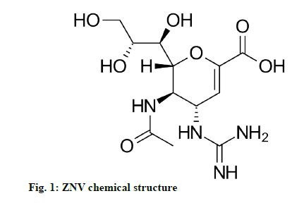 IJPS-structure