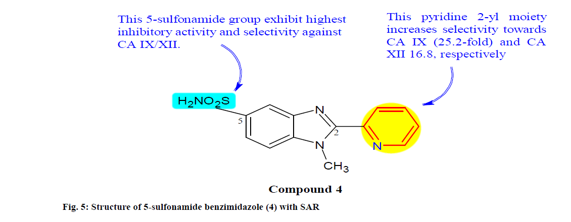 IJPS-sulfonamide