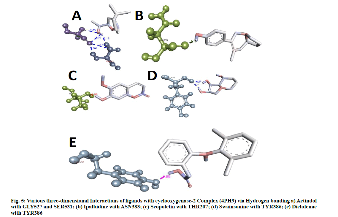 IJPS-swainsonine