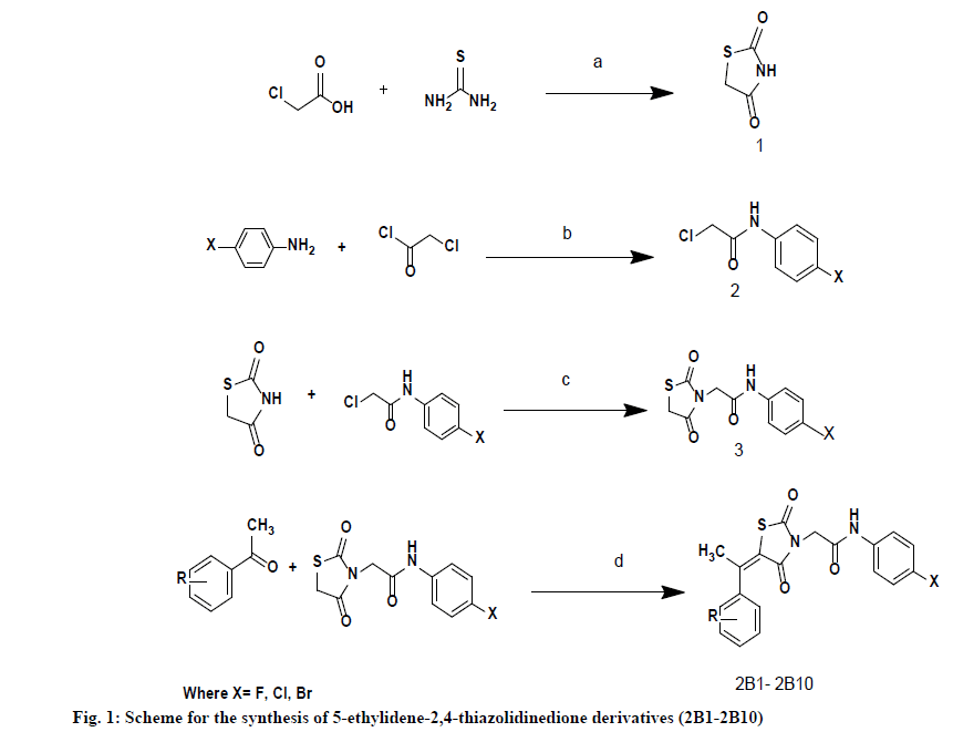 IJPS-thiazolidinedione