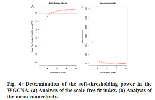 A and B) Analysis of the scale-free fit index and the mean