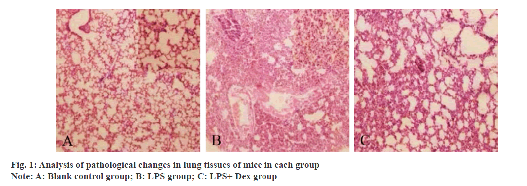 IJPS-tissues