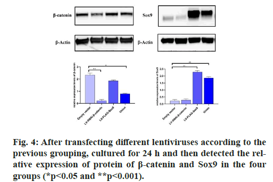 IJPS-transfecting