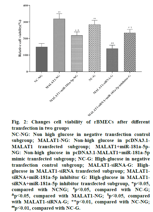 IJPS-transfection