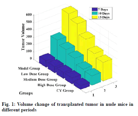 IJPS-transplanted-tumor