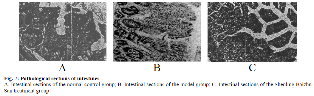 IJPS-treatment