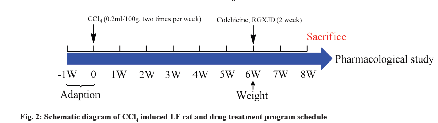 IJPS-treatment