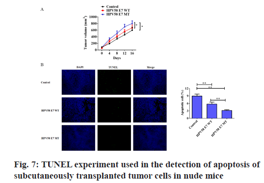 IJPS-tumor