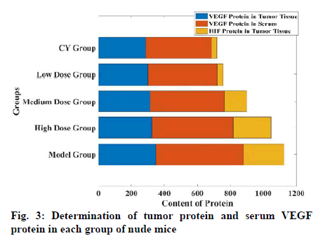 IJPS-tumor-protein