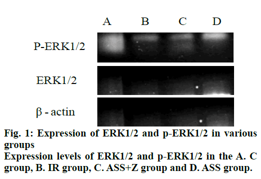 IJPS-various