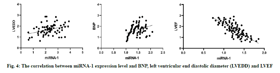 IJPS-ventricular