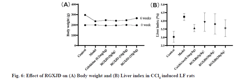 IJPS-weight