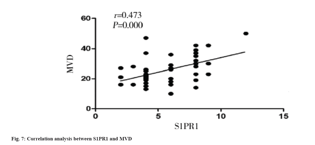 IJPS-84-S4-analysis