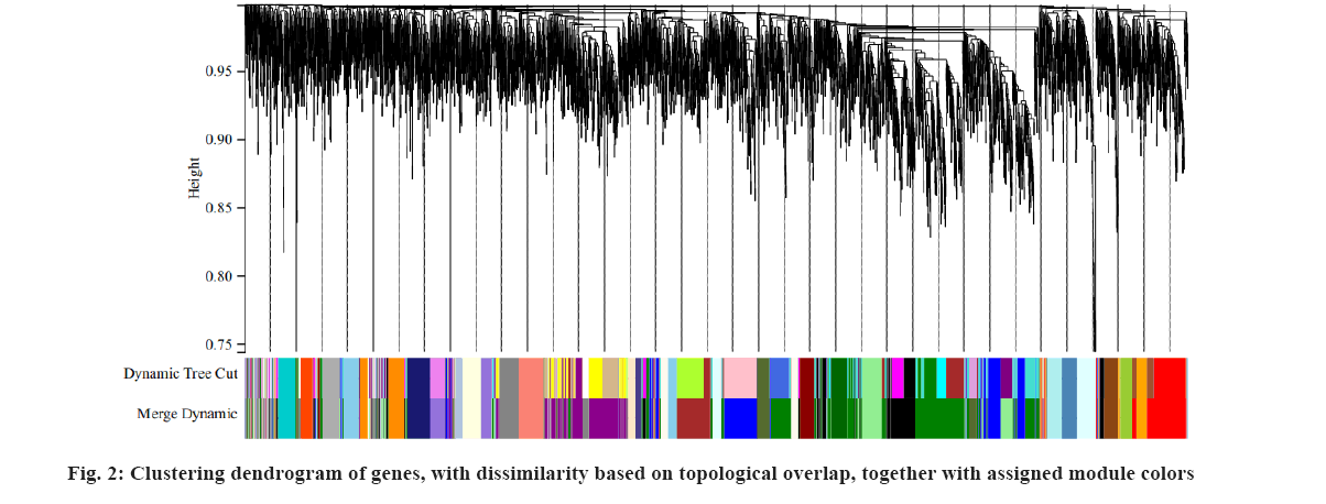 IJPS-84-S4-dissimilarity