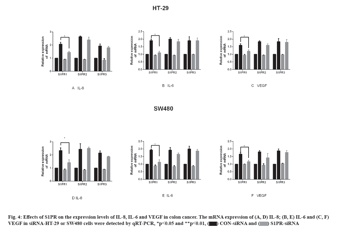 IJPS-84-S4-expression