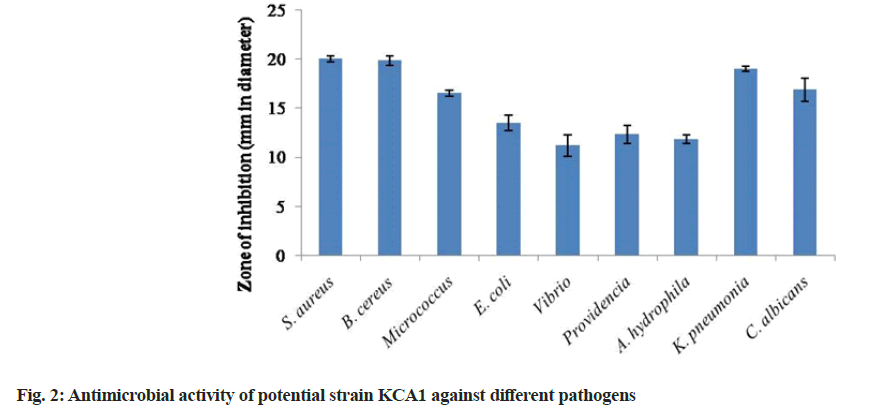 IJPS-Antimicrobial