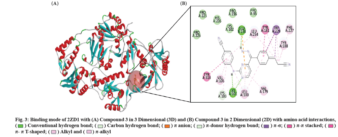 IJPS-Binding