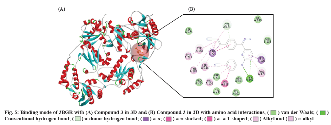 IJPS-Binding