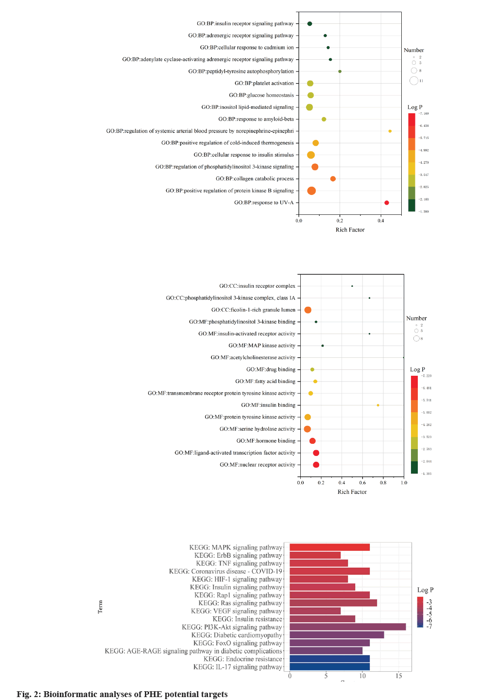 IJPS-Bioinformatic