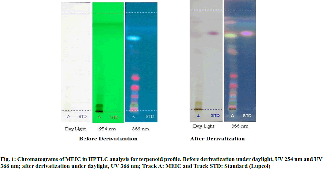 Chromatograms