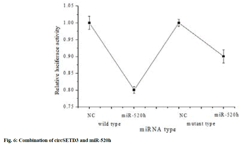 IJPS-Combination-circSETD3