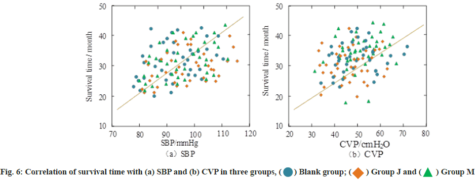 IJPS-Correlation