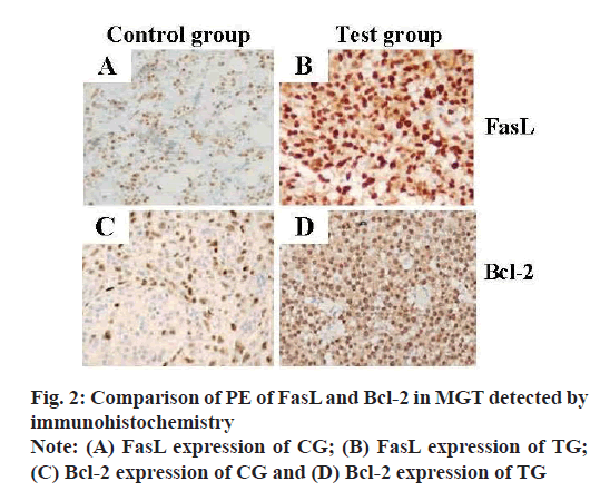 IJPS-FasL