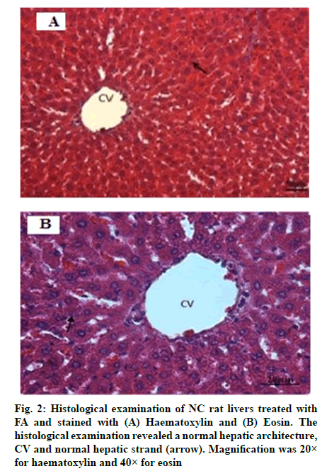 IJPS-Haematoxylin