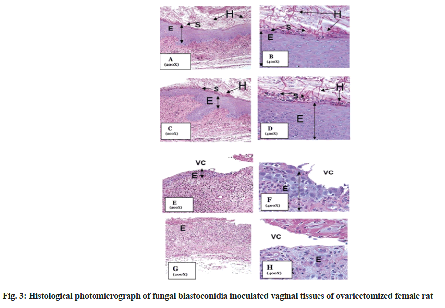 IJPS-Histological