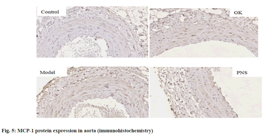 IJPS-MCP-immunohistochemistry