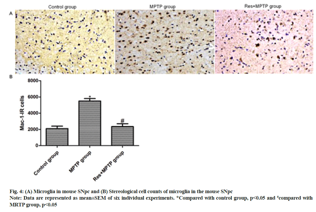 IJPS-Microglia