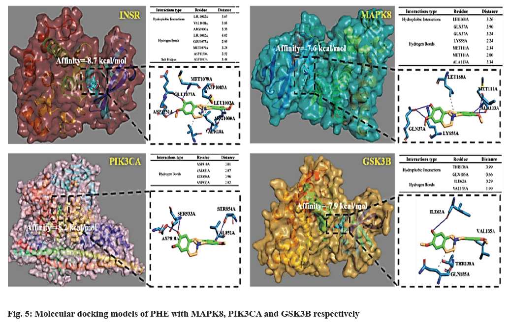 IJPS-Molecular