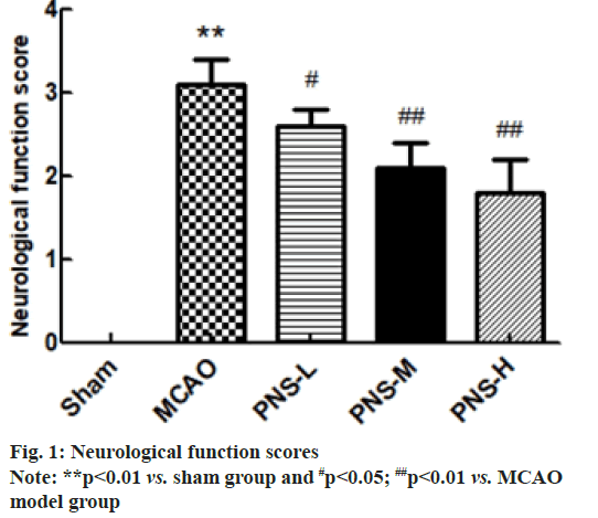 IJPS-Neurological