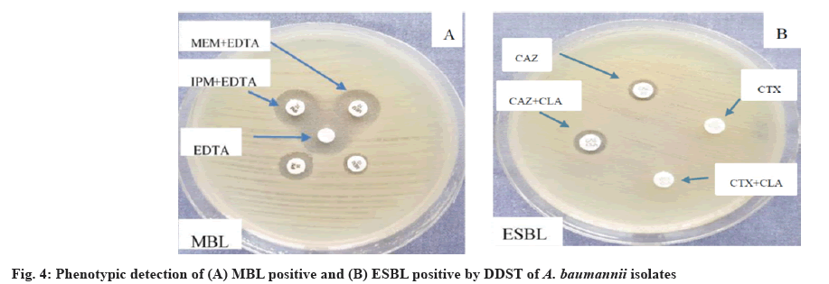 IJPS-Phenotypic