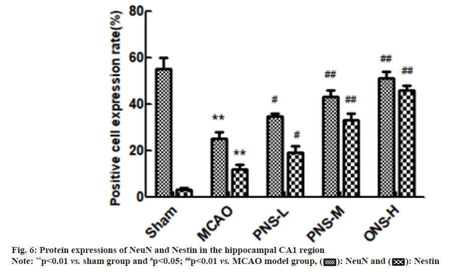 IJPS-Protein