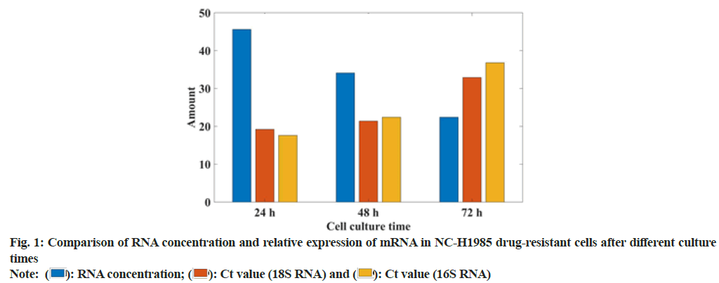 IJPS-RNA-concentration