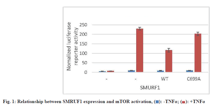 IJPS-activation