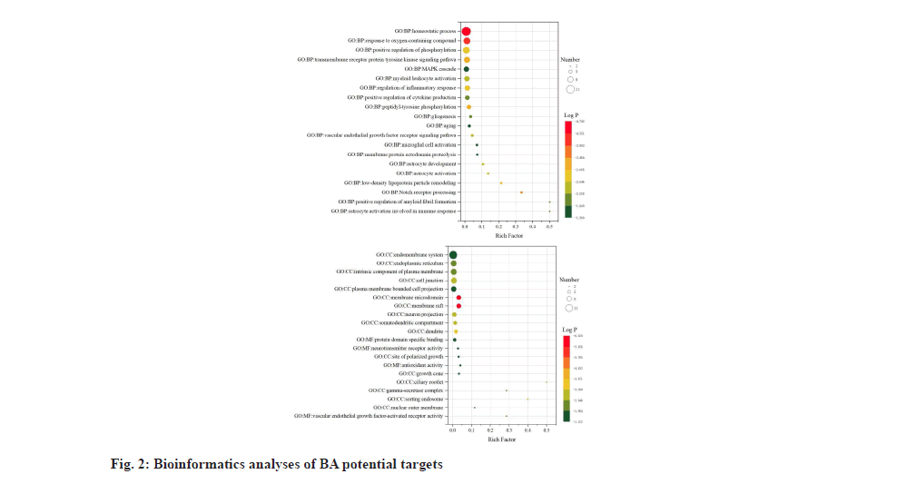 IJPS-analyses